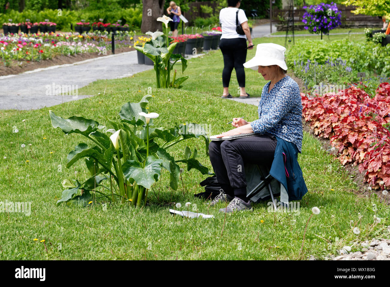 A lady artist sketching a plant in Montreal Botanical Gardens Stock Photo