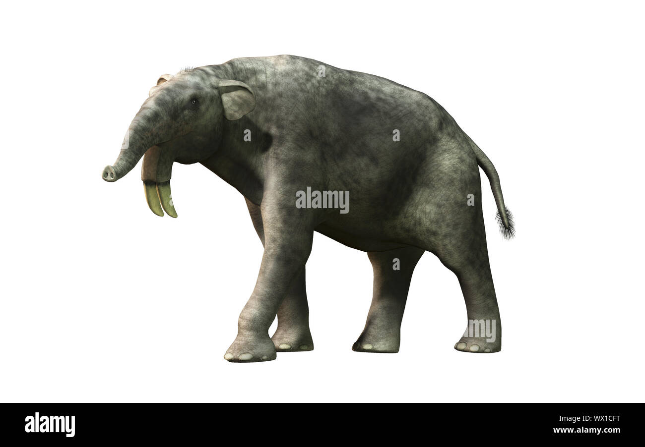 The hoe tusker, or Deinotherium ('terrible beast'),was a prehistoric relative of Elephants with strange downward-curving tusks from its lower jaws. Stock Photo