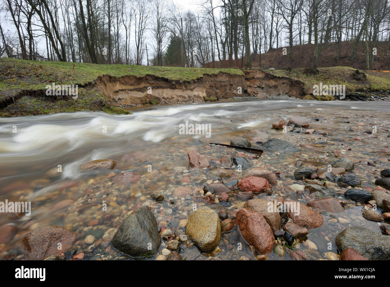 Natural erosion, shore of wild forest river Stock Photo