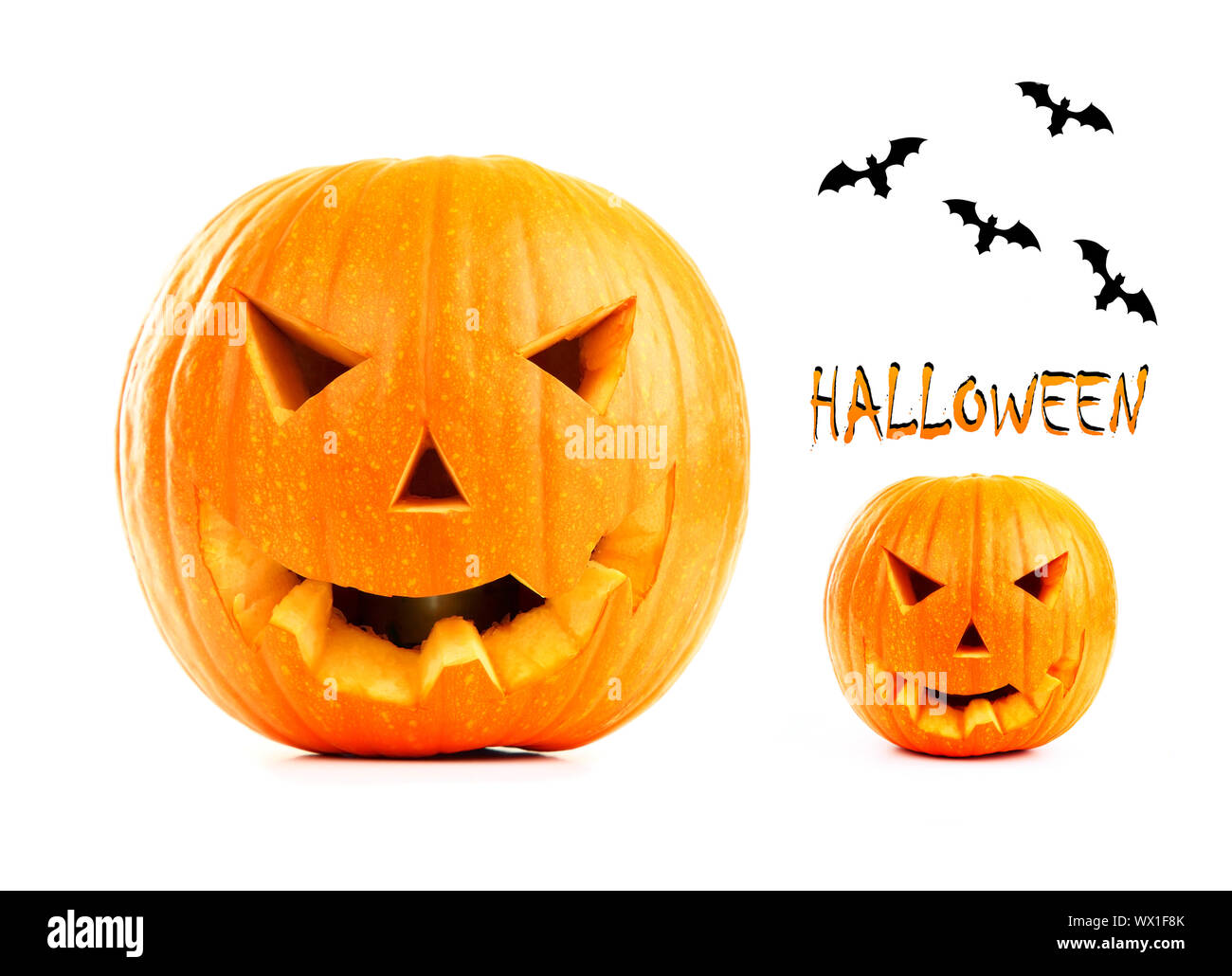 Halloween pumpkin & bats isolated on white background Stock Photo - Alamy