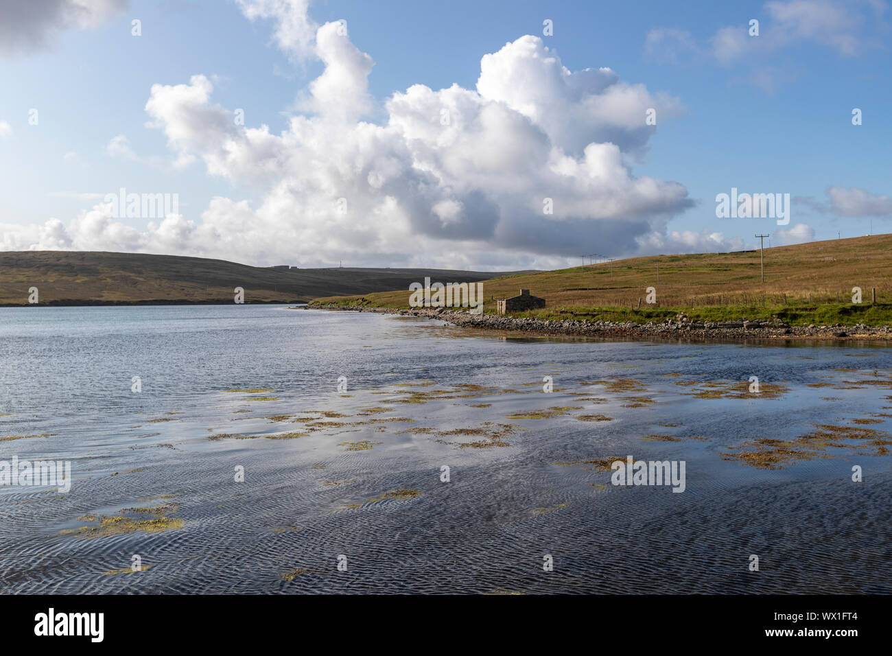Cottage near Gutcher Shetland Ferry Terminal, Yell island, Shetland