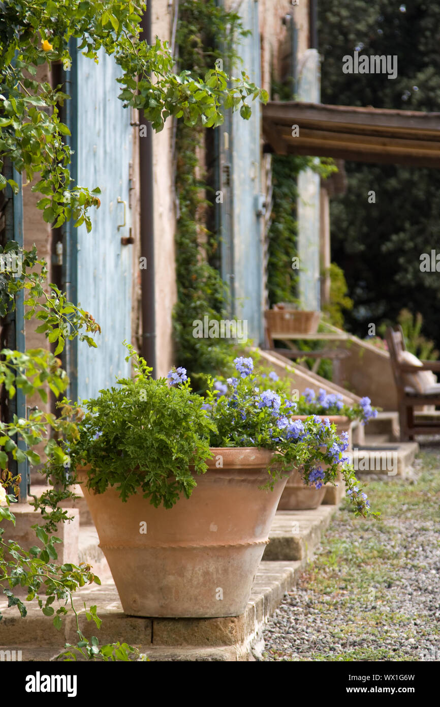 Terracotta plant pot outside a Tuscan farmhouse Stock Photo - Alamy
