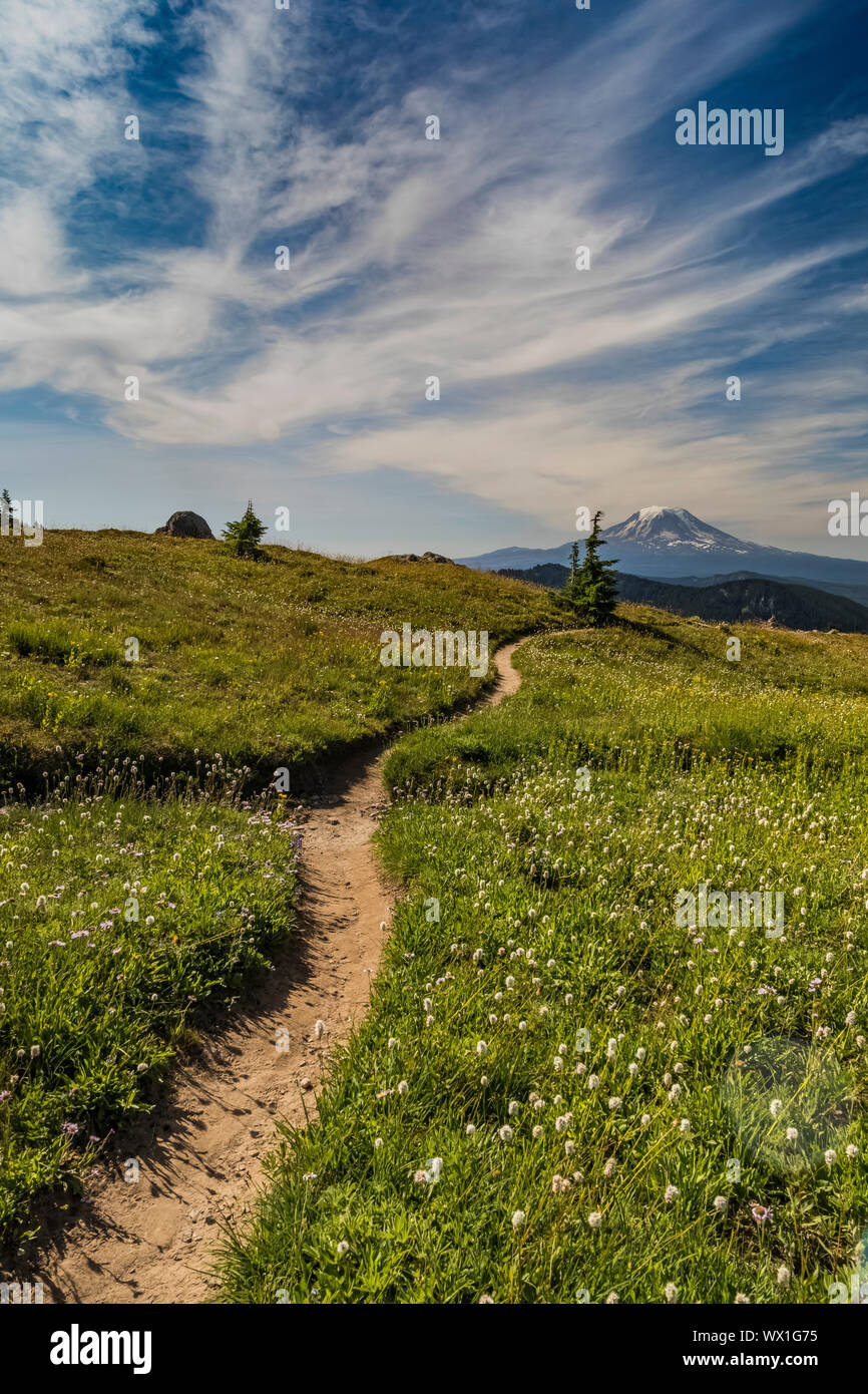 Giffer Rocks Pacific Crest Trail and Mount Adams viewed from the Goat Rocks ...