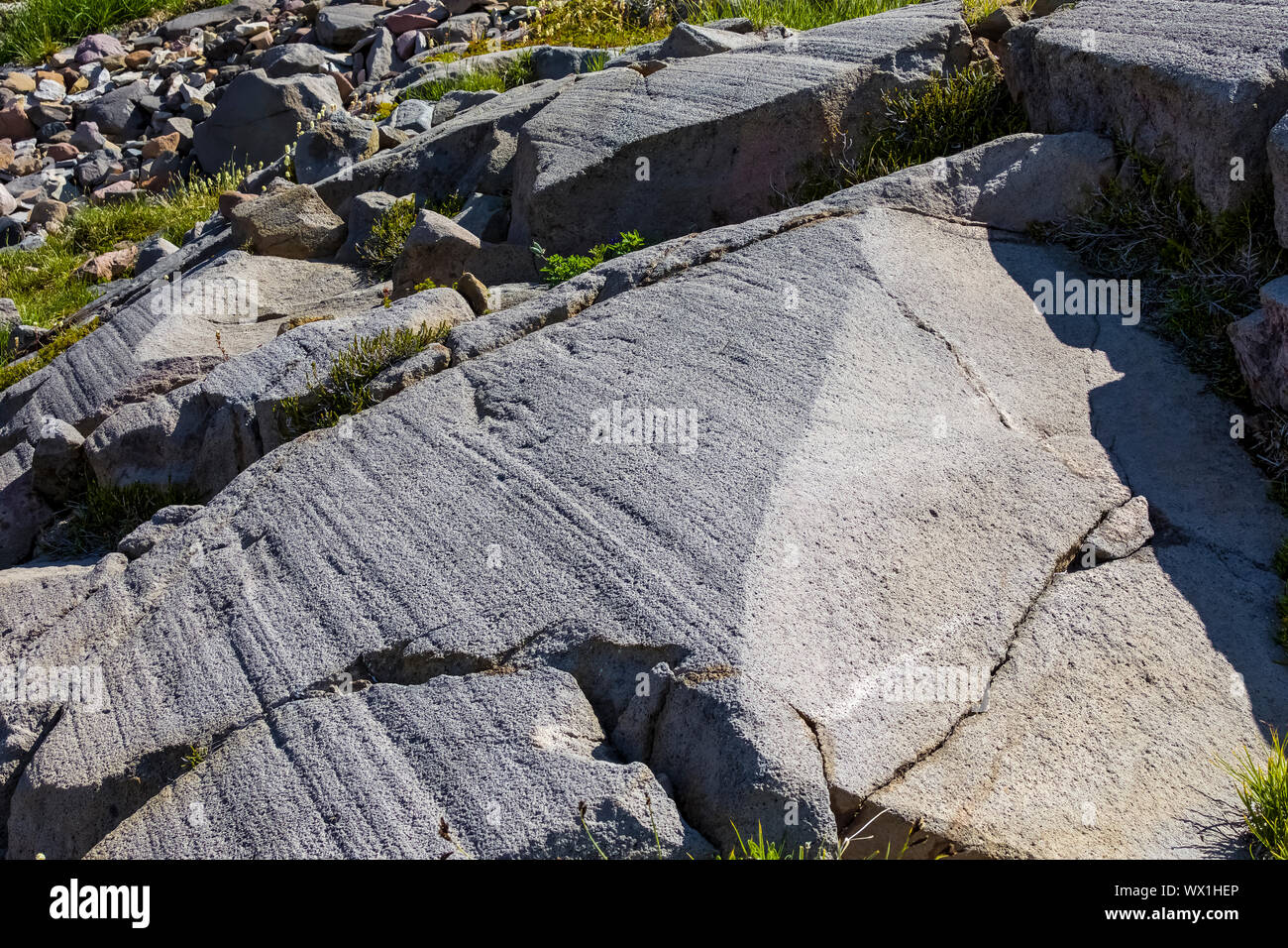Glacial striations in rock along the Pacific Crest Trail in the Goat Rocks Wilderness, Gifford Pinchot National Forest, Washington State, USA Stock Photo