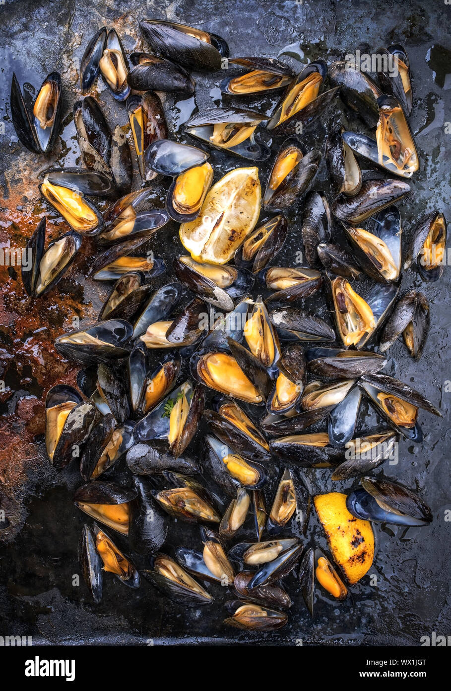 Traditional barbecue Italian blue mussel as top view on a metal sheet Stock Photo