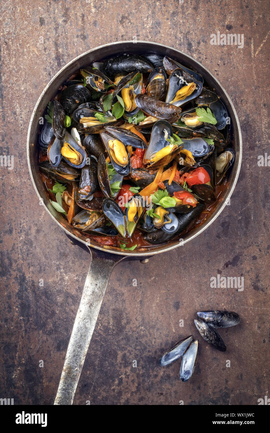 Traditional barbecue Italian blue mussel in red wine sauce as top view in a casserole with copy space Stock Photo