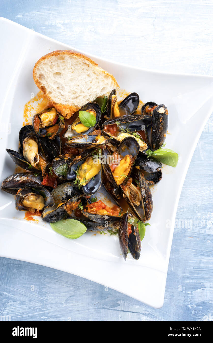 Traditional Italian blue mussel in white wine sauce as close up on a plate with copy space Stock Photo