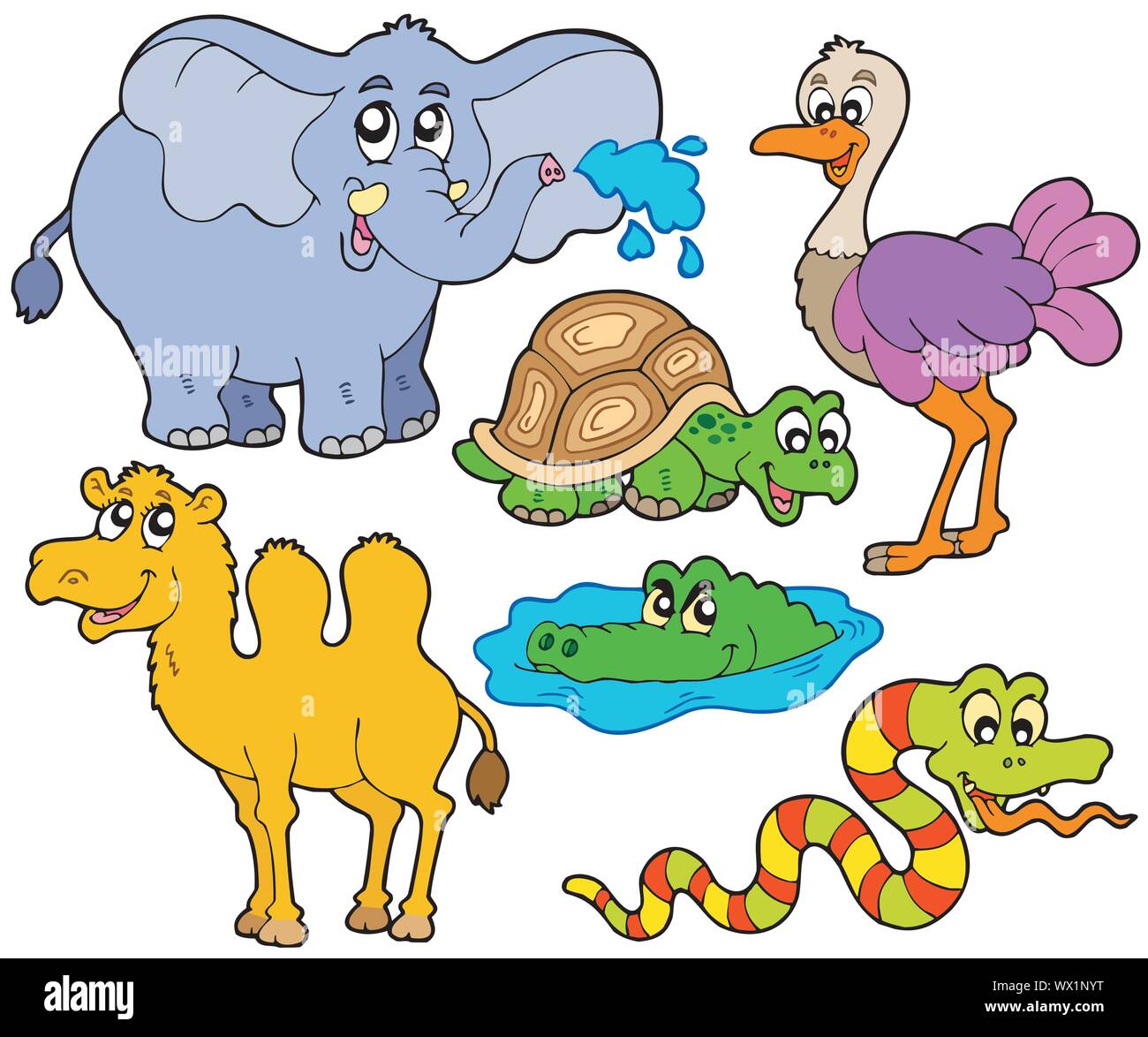 череп гребнистого крокодила. черепаха катается на крокодиле. крокодил слон черепаха. гребнистый крокодил. крокодил и черепаха.