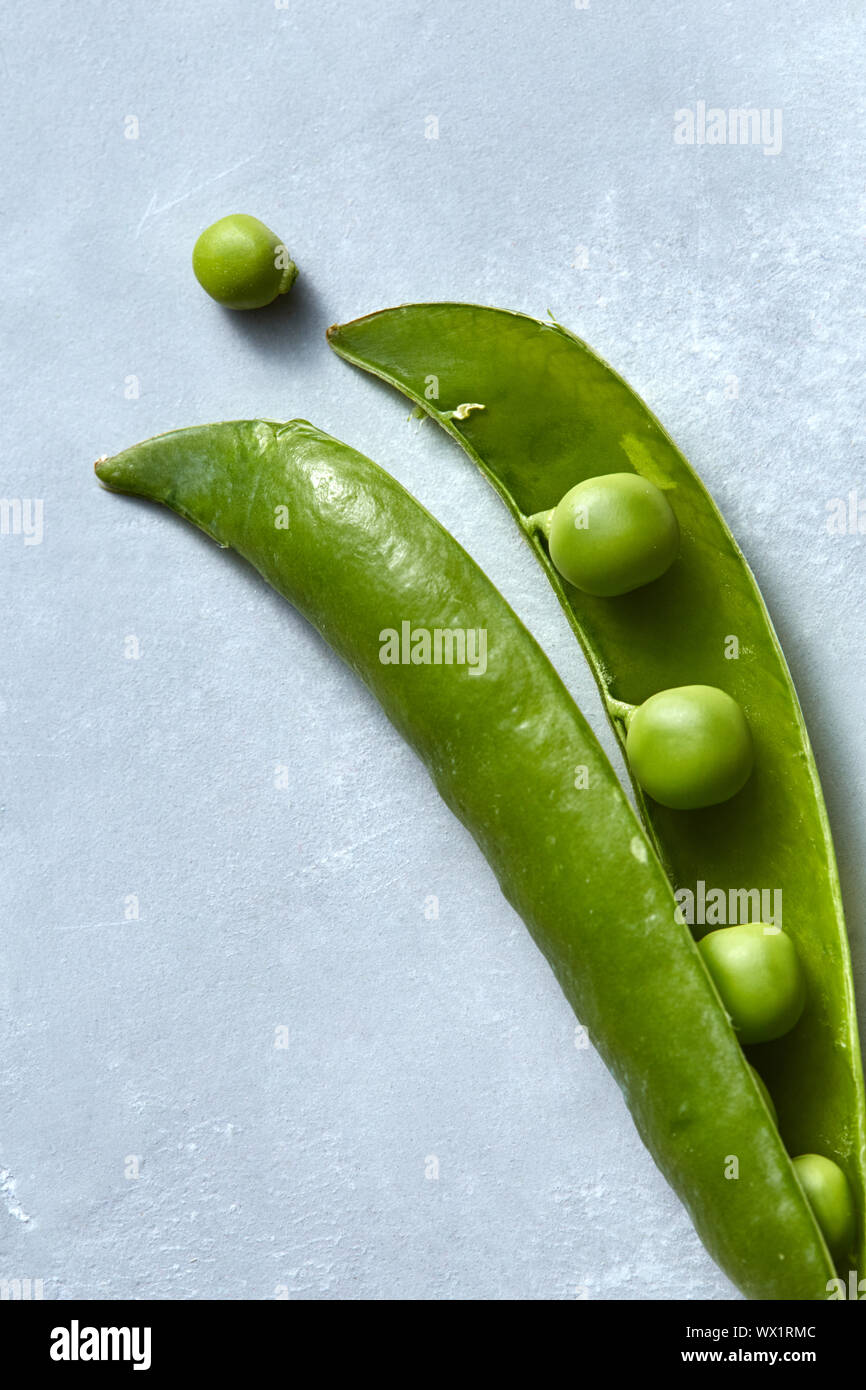 Close-up of an open pod with round beans of natural green peas on a gray background. Stock Photo