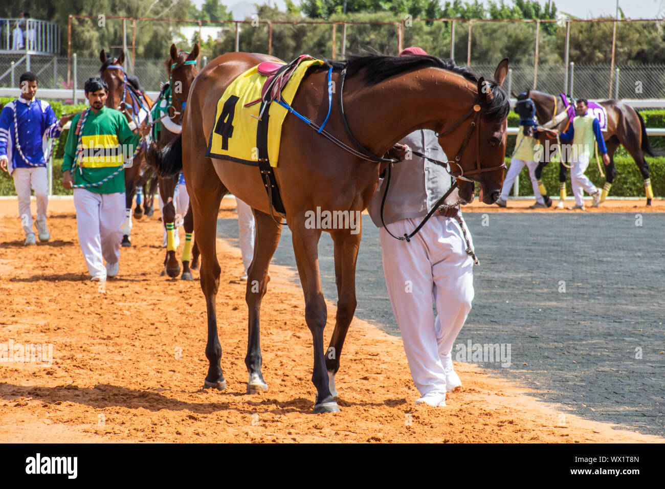 Horse Racing at King Khalid Racetrack, Taif, Saudi Arabia 28/06/2019 Stock Photo