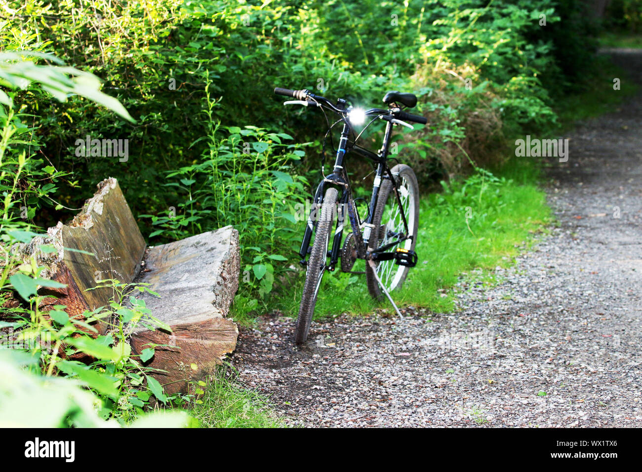 off road biking trails