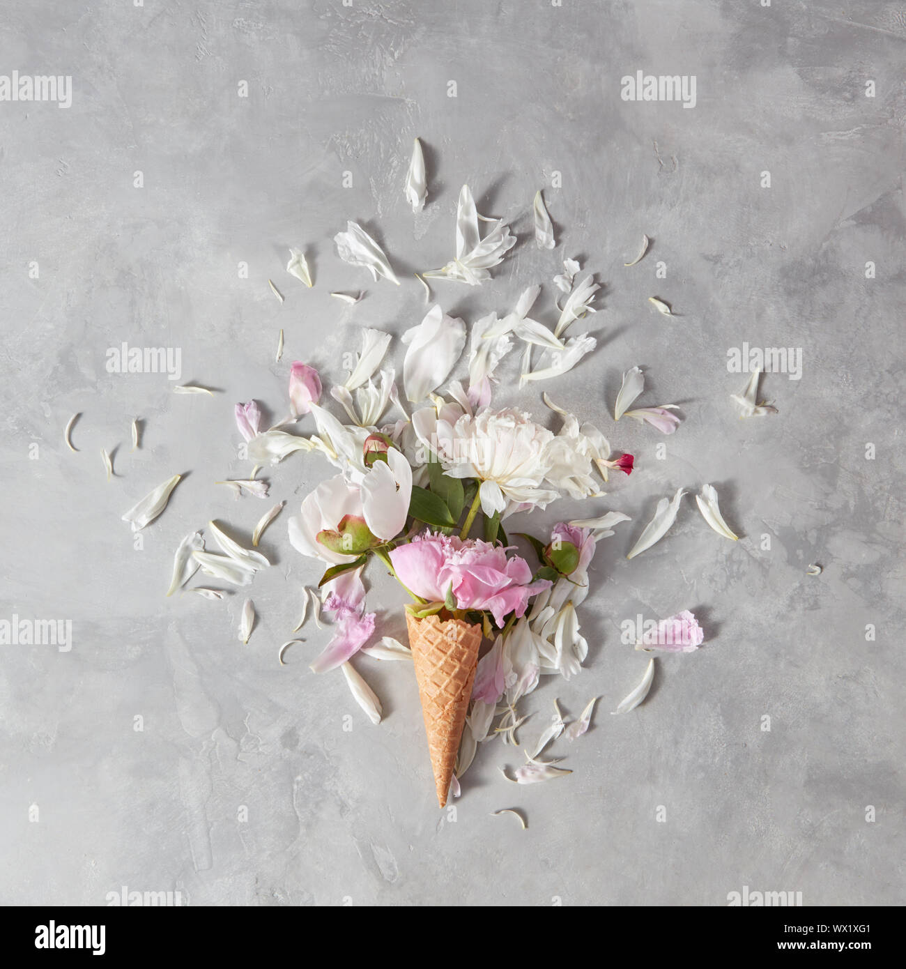 Summer greeting card of beautiful flowers pion in a wafer cups with petals on a gray stone table. Flat lay Stock Photo