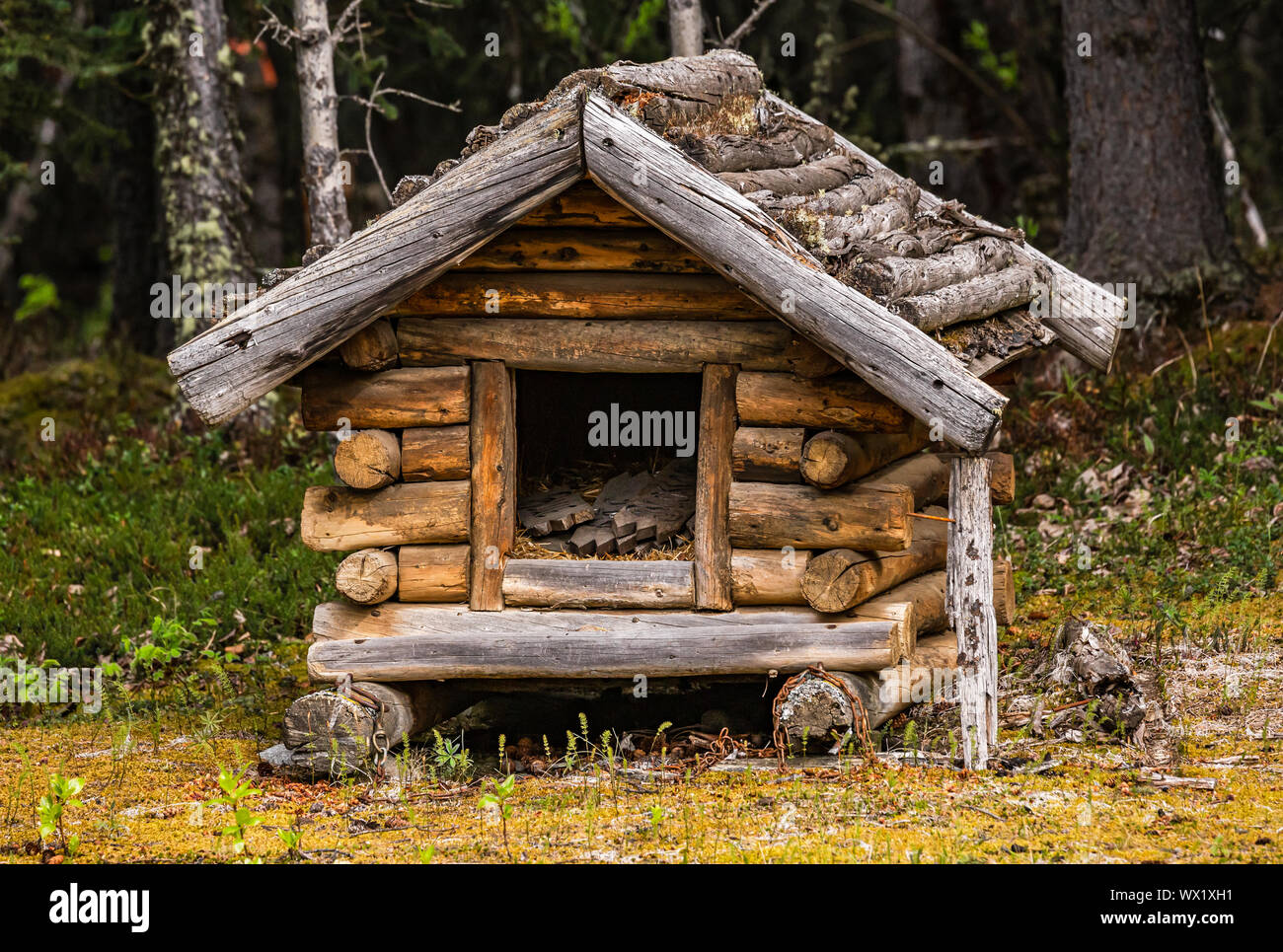 Campground Log Cabin Stock Photos Campground Log Cabin Stock