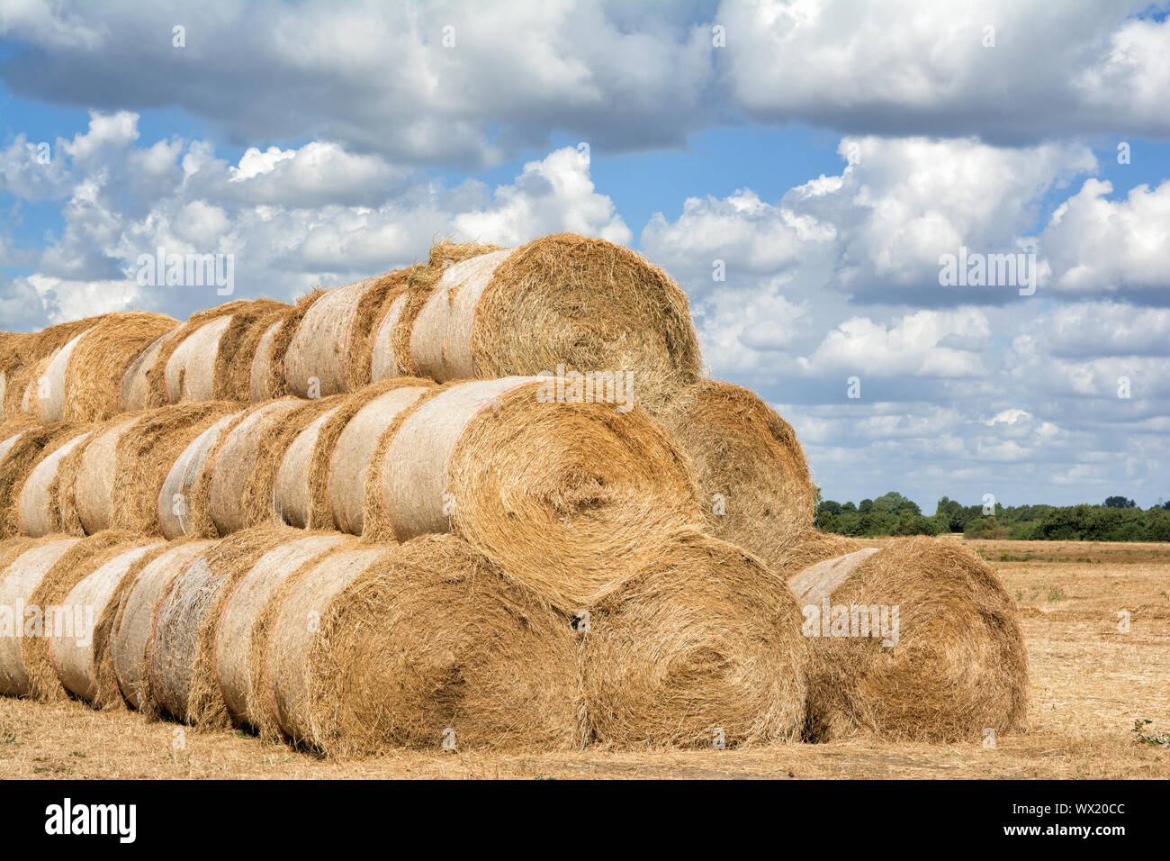 Straw Bales on Field in Rhineland,North Rhine westphalia,Germany Stock Photo