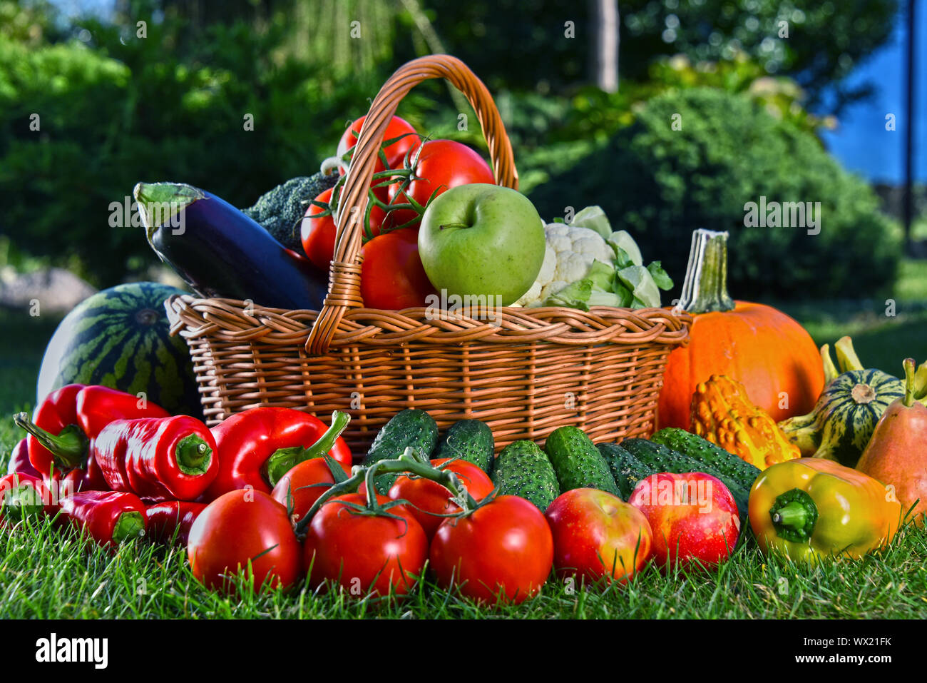 Variety of fresh organic vegetables and fruits in the garden. Balanced ...