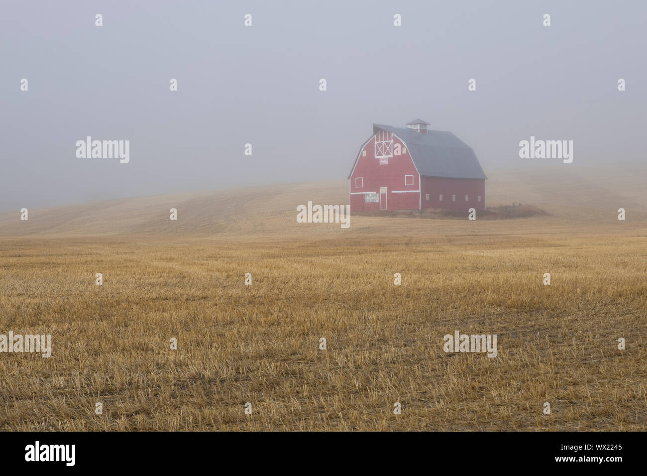A red barn shrouded by fog stands on the palouse reagion of eastern Washington. Stock Photo