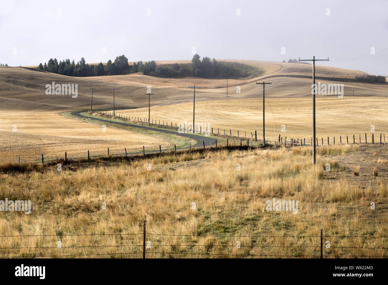A winding country road cutting through the landscape of the palouse region in eastern Washington. Stock Photo