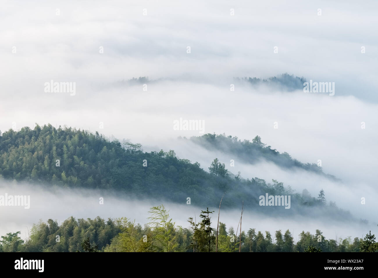 mountains covered with clouds fog Stock Photo - Alamy