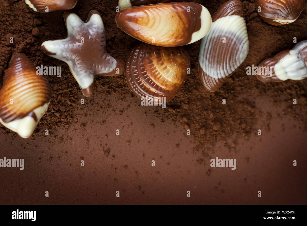 Chocolate Seashells Border Stock Photo