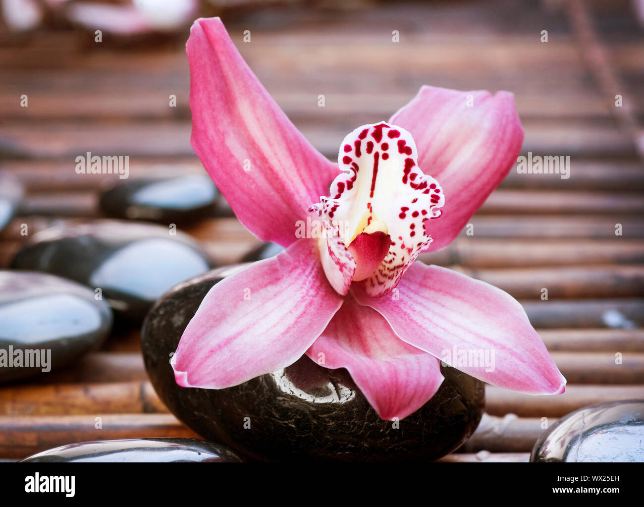 Hot stones japanese hi-res stock photography and images - Alamy