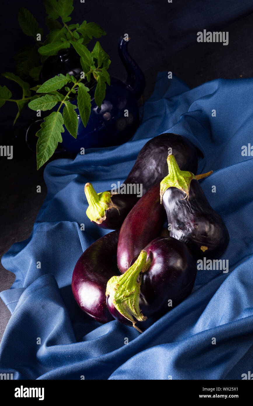 Eggplant (Solanum melongena) is a species in the nightshade family
