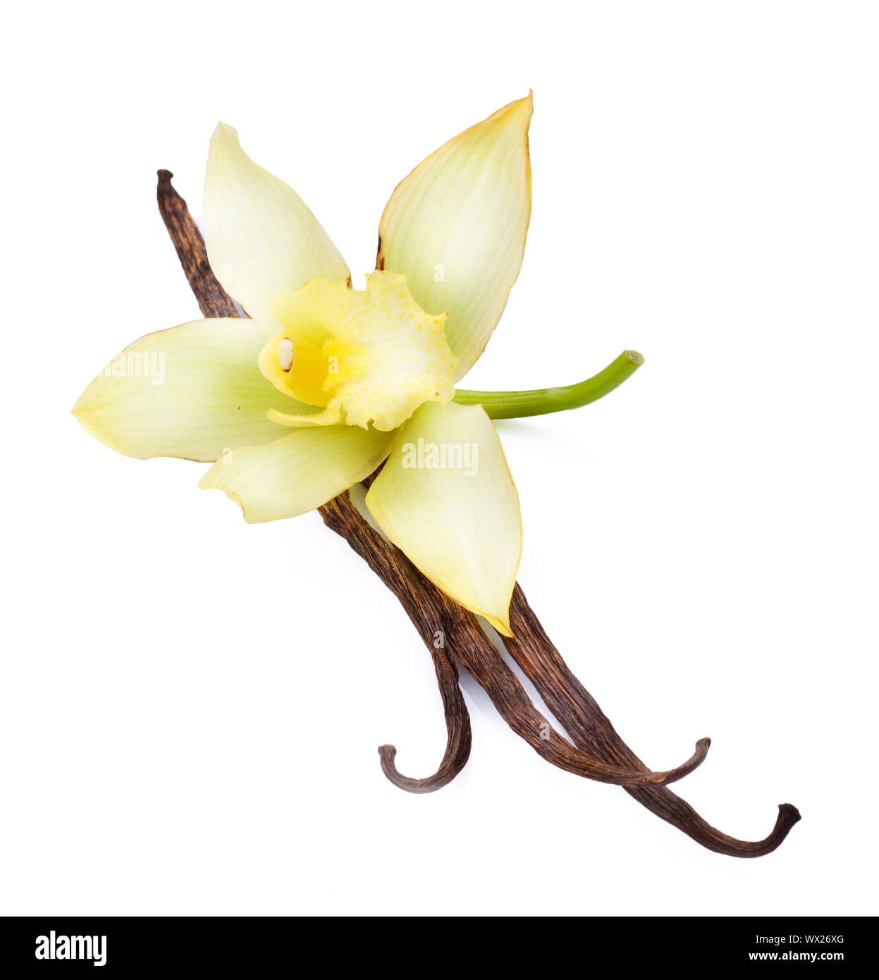 Vanilla pods and flower Stock Photo Alamy
