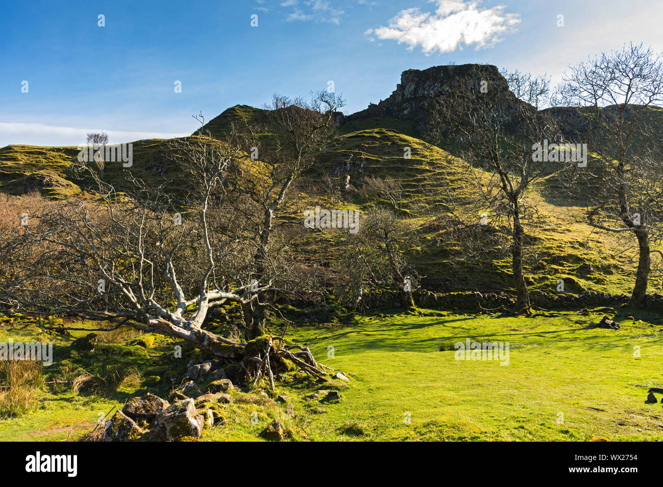 The rock tower known as Castle Ewen in the Fairy Glen, Glen Uig