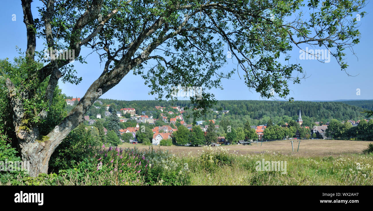 Village of Braunlage in Harz,lower Saxony,Germany Stock Photo