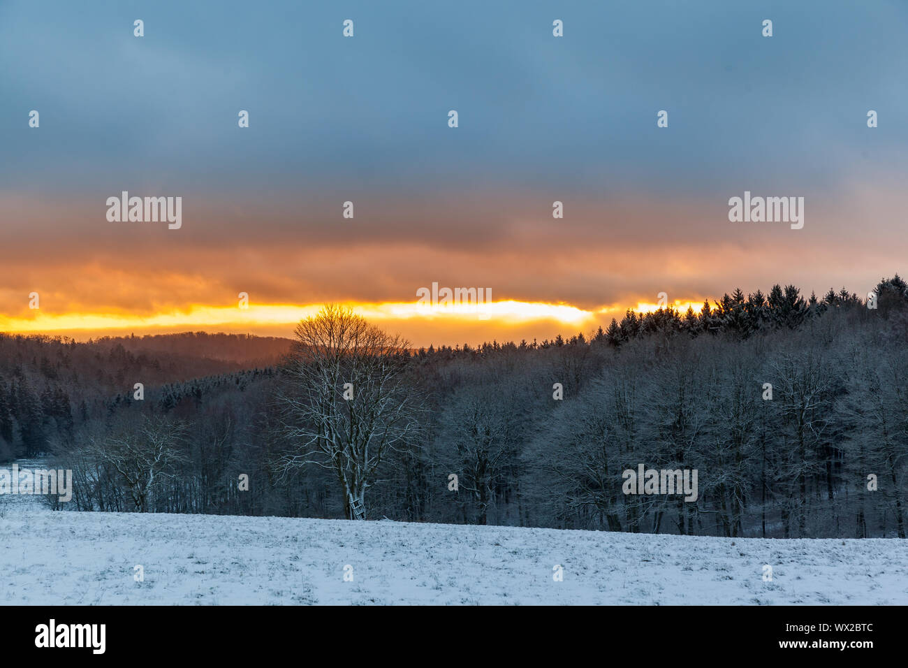wintry resin in the sunset Stock Photo