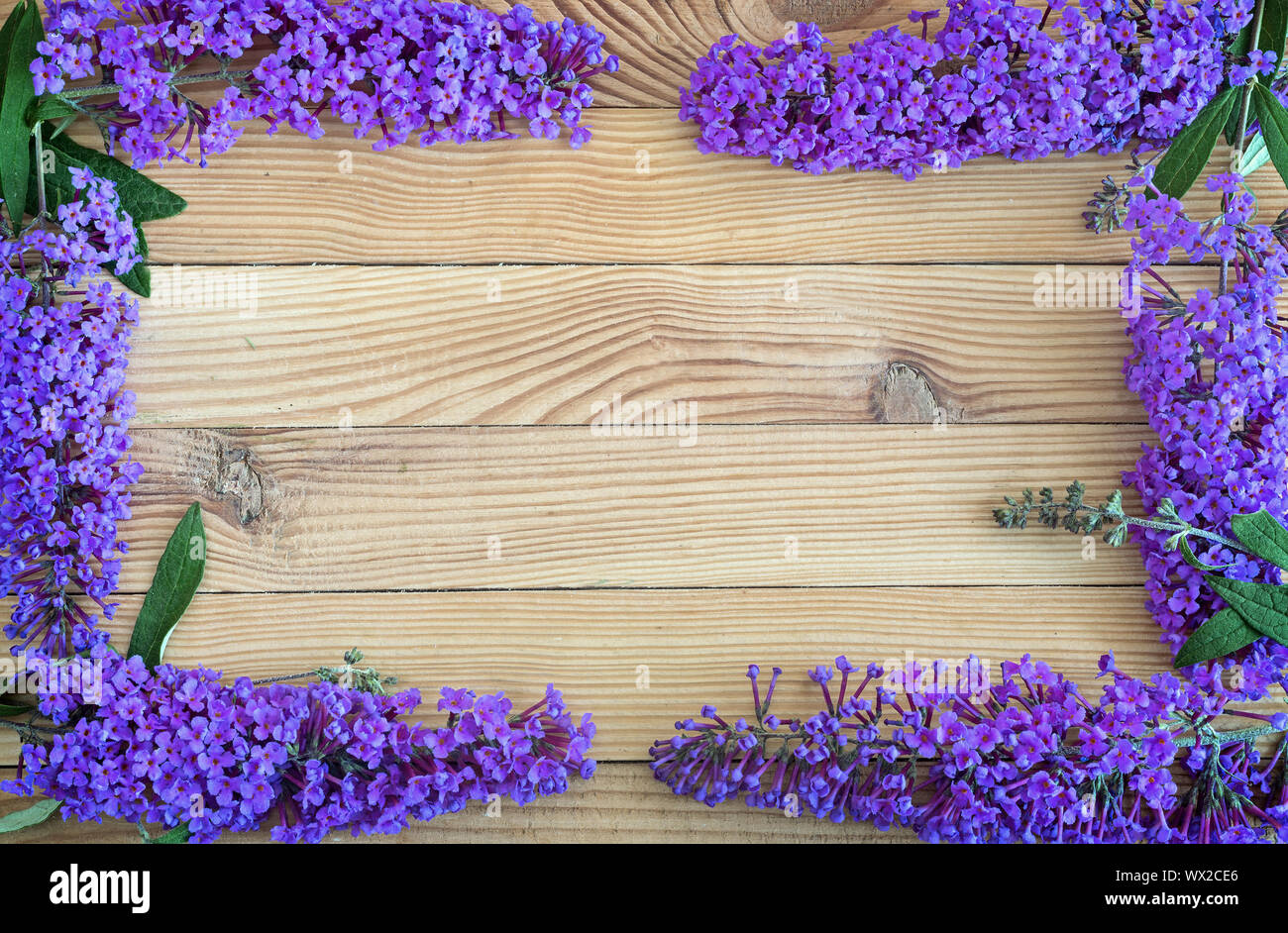 Beautiful buddleia shrub flowers on wooden background. Stock Photo