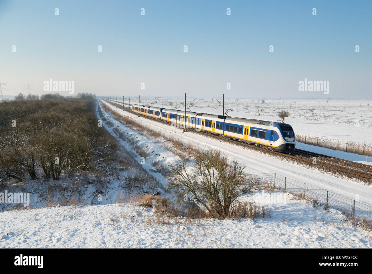 Yellow train in Dutch rural winter landscape of National Park Oostvaardersplassen Stock Photo