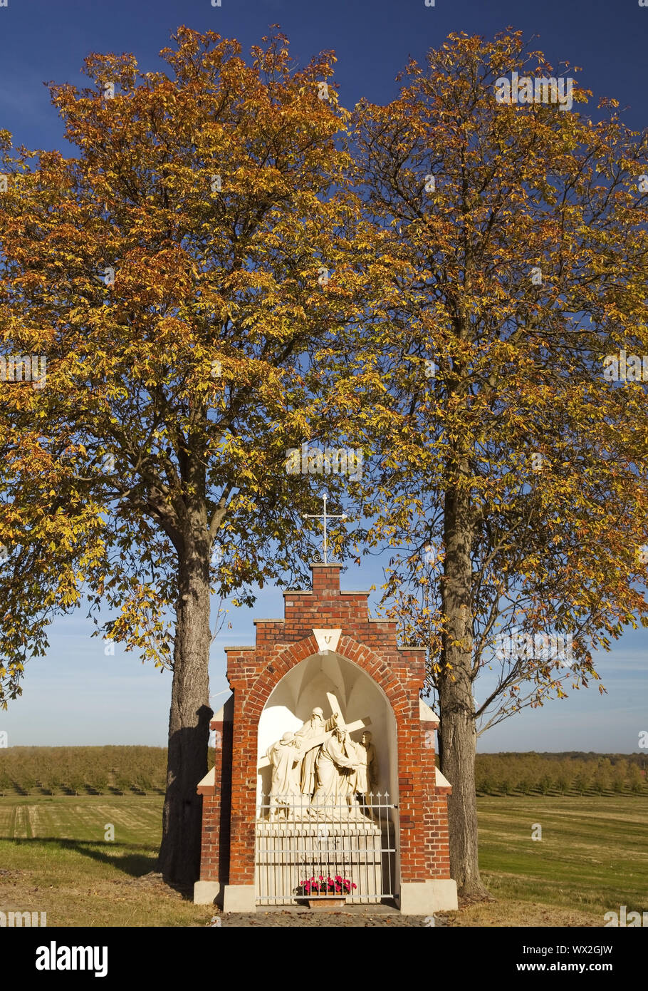 station of the cross in autumn, Oelde-Stromberg, North Rhine-Westphalia, Germany, Europe Stock Photo