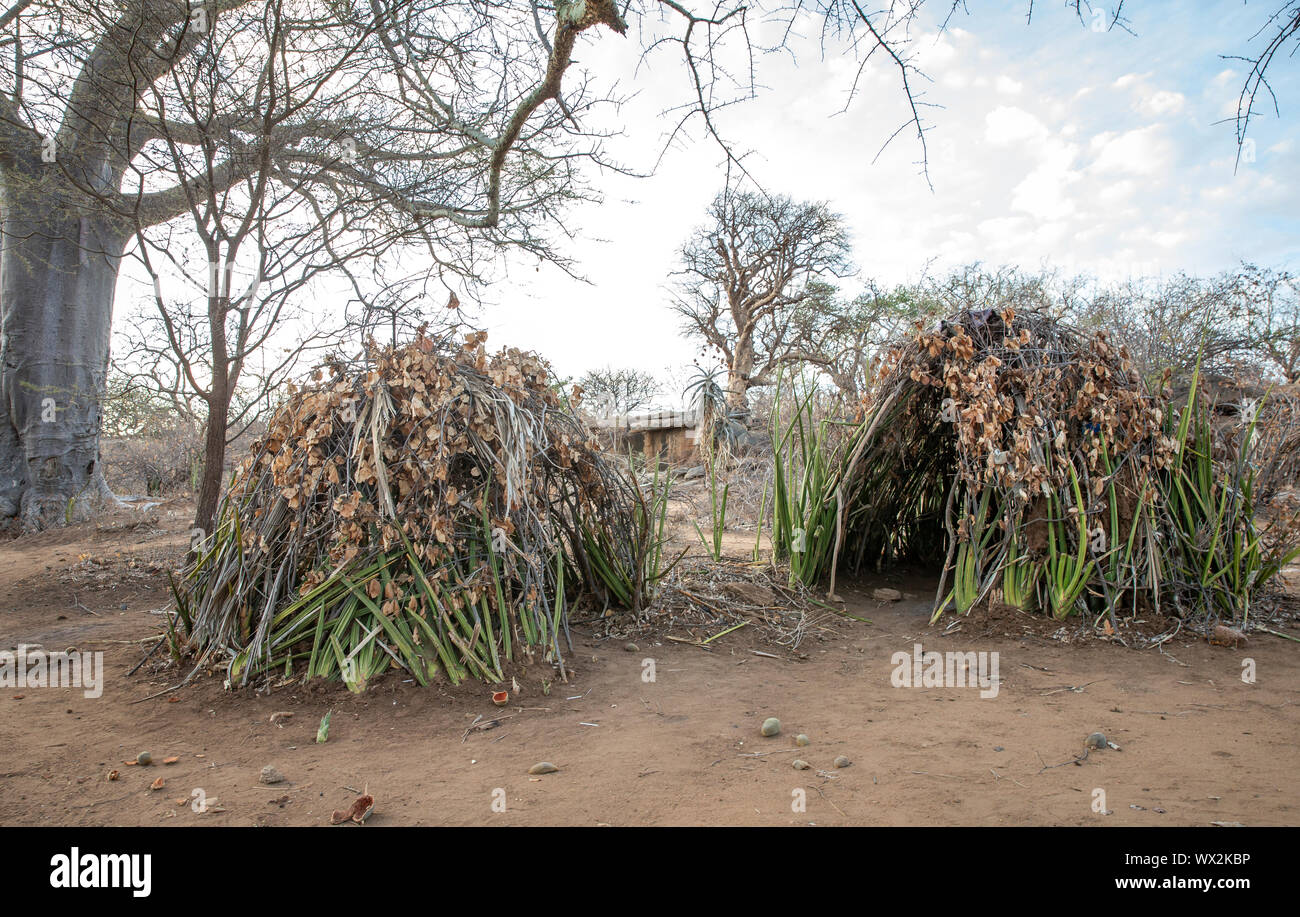 hadzabe tribe huts where they live Stock Photo
