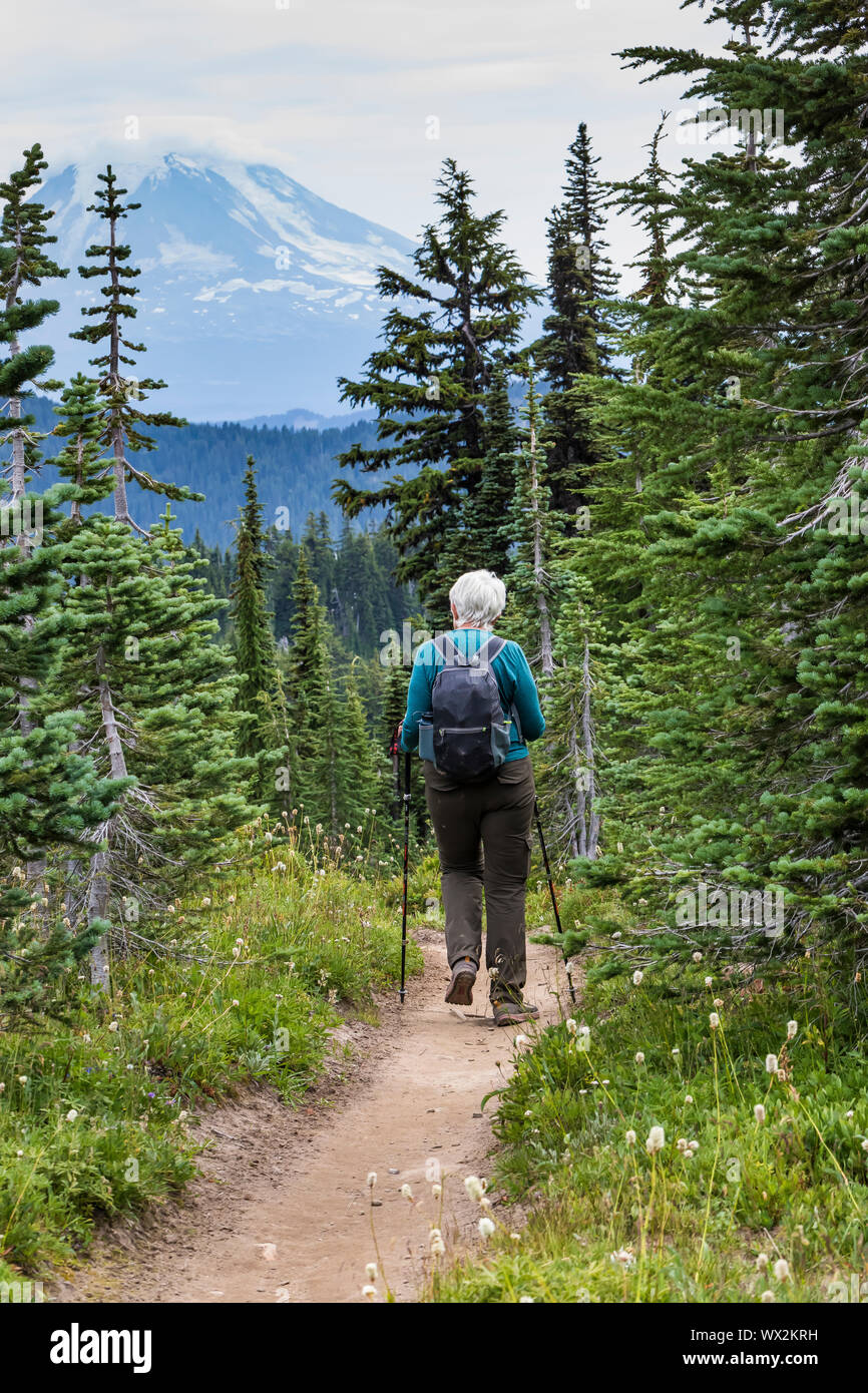 Hiker on the Pacific Crest Trail in the Goat Rocks Wilderness, with Mount Adams distant, Gifford Pinchot National Forest, Washington State, USA [No mo Stock Photo