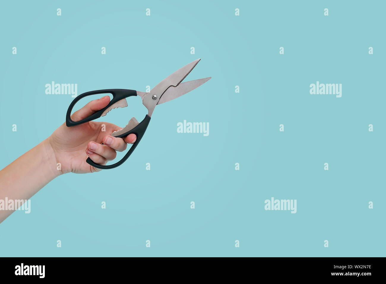 Woman's hand holding scissors on blue background with copy space. Stock Photo