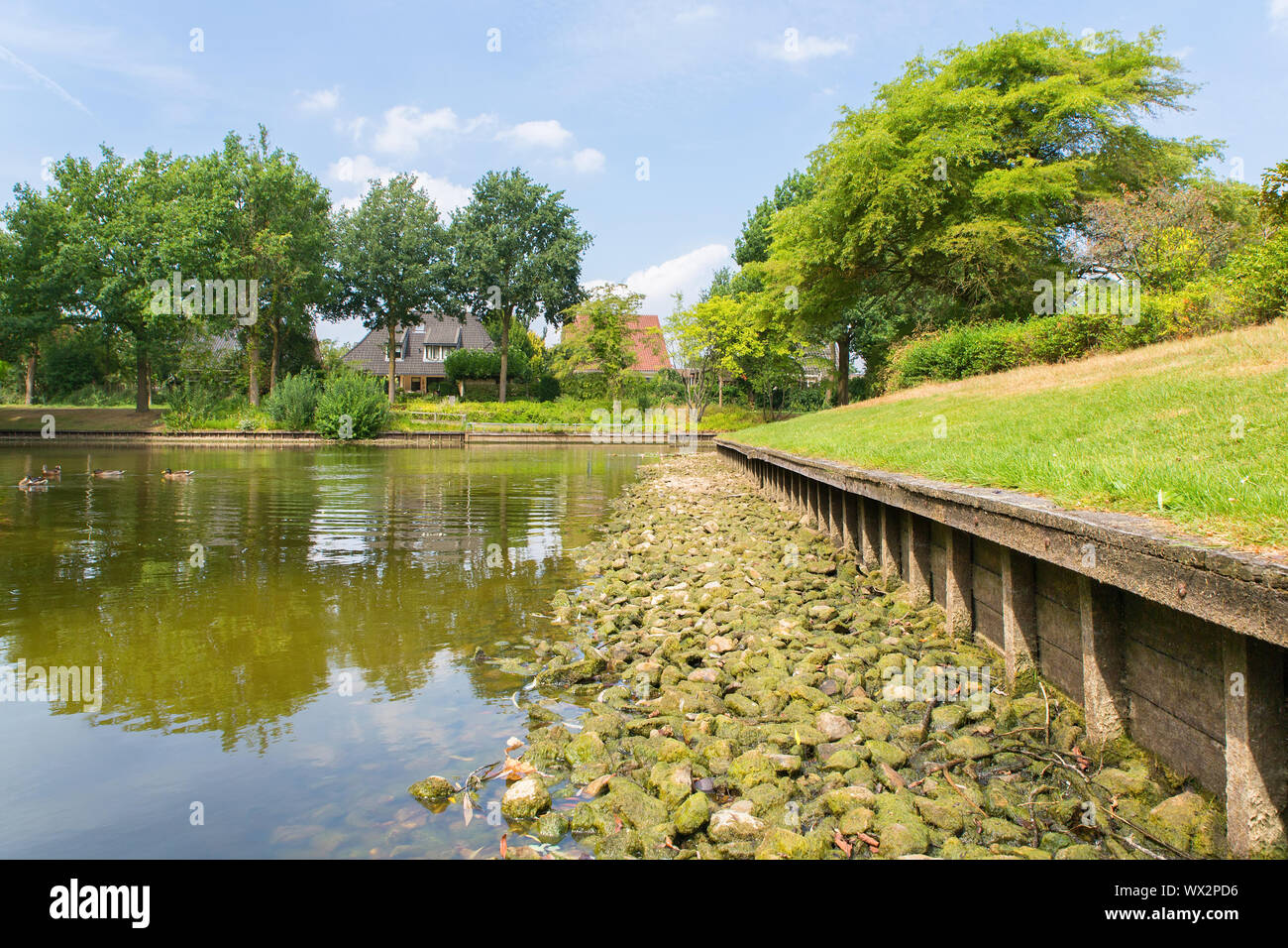 Pond in residential area with water shortage Stock Photo