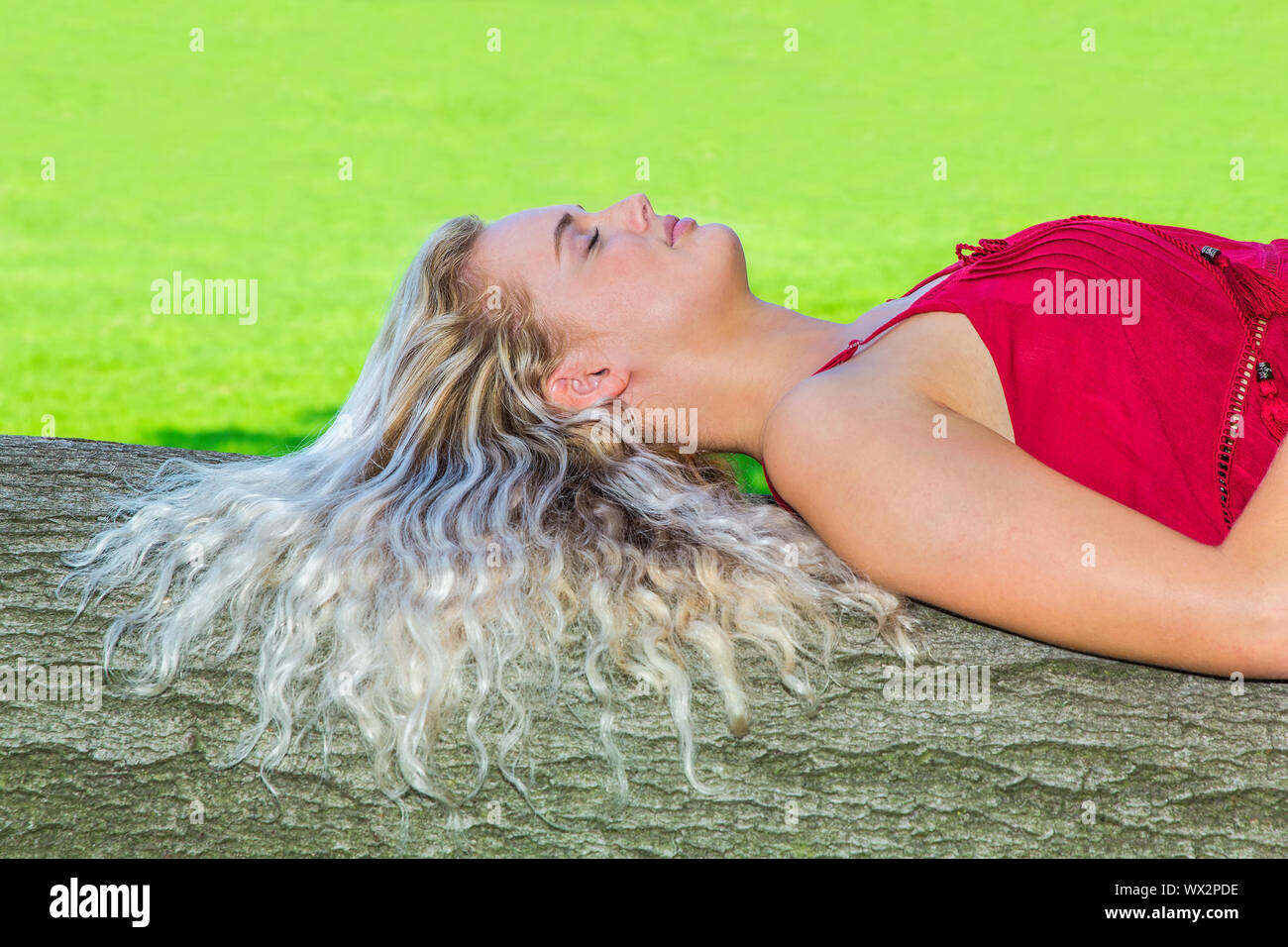 Young woman with long hair lies on tree trunk Stock Photo