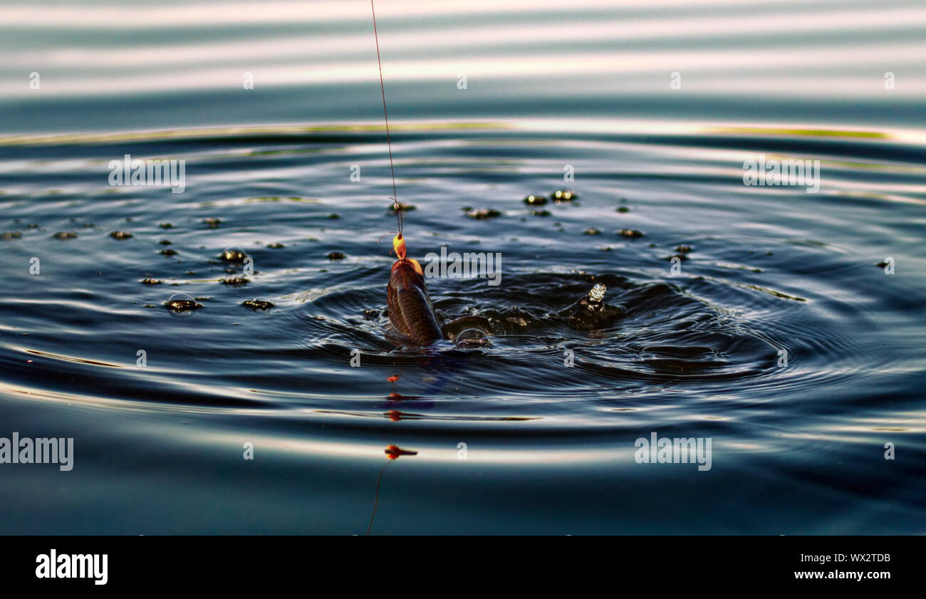 River Rudd Leisure output river hi-res stock photography and images - Alamy