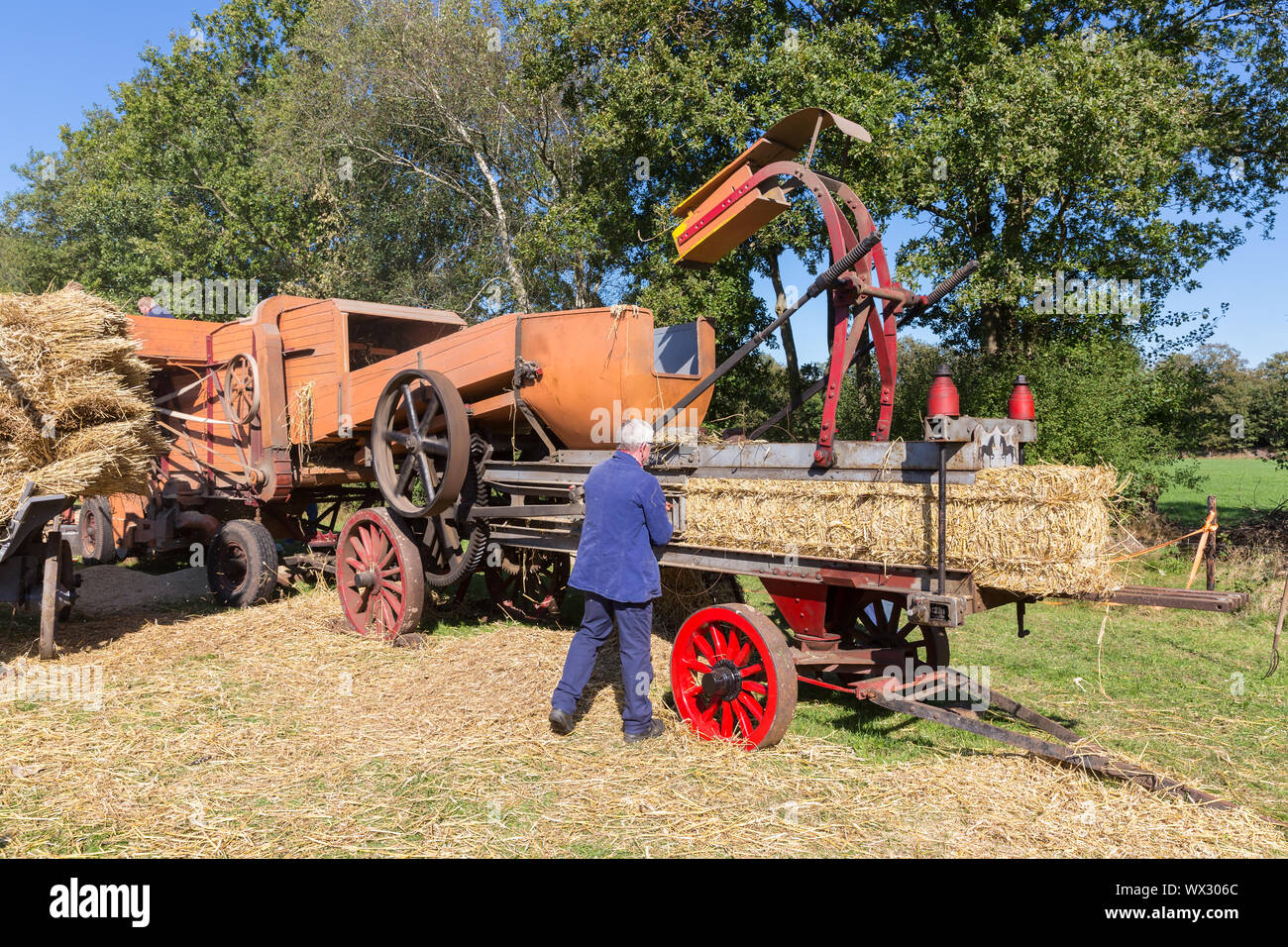 Farmers harvesting and collecting hay during agricultural festival, the Netherlands Stock Photo