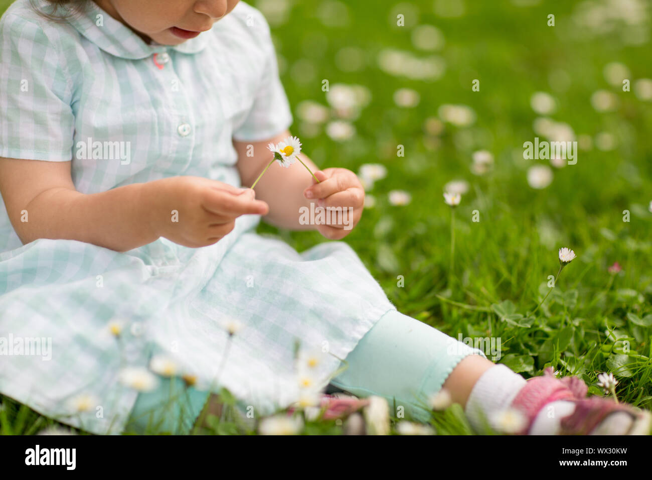happy little girl at park in summer Stock Photo - Alamy