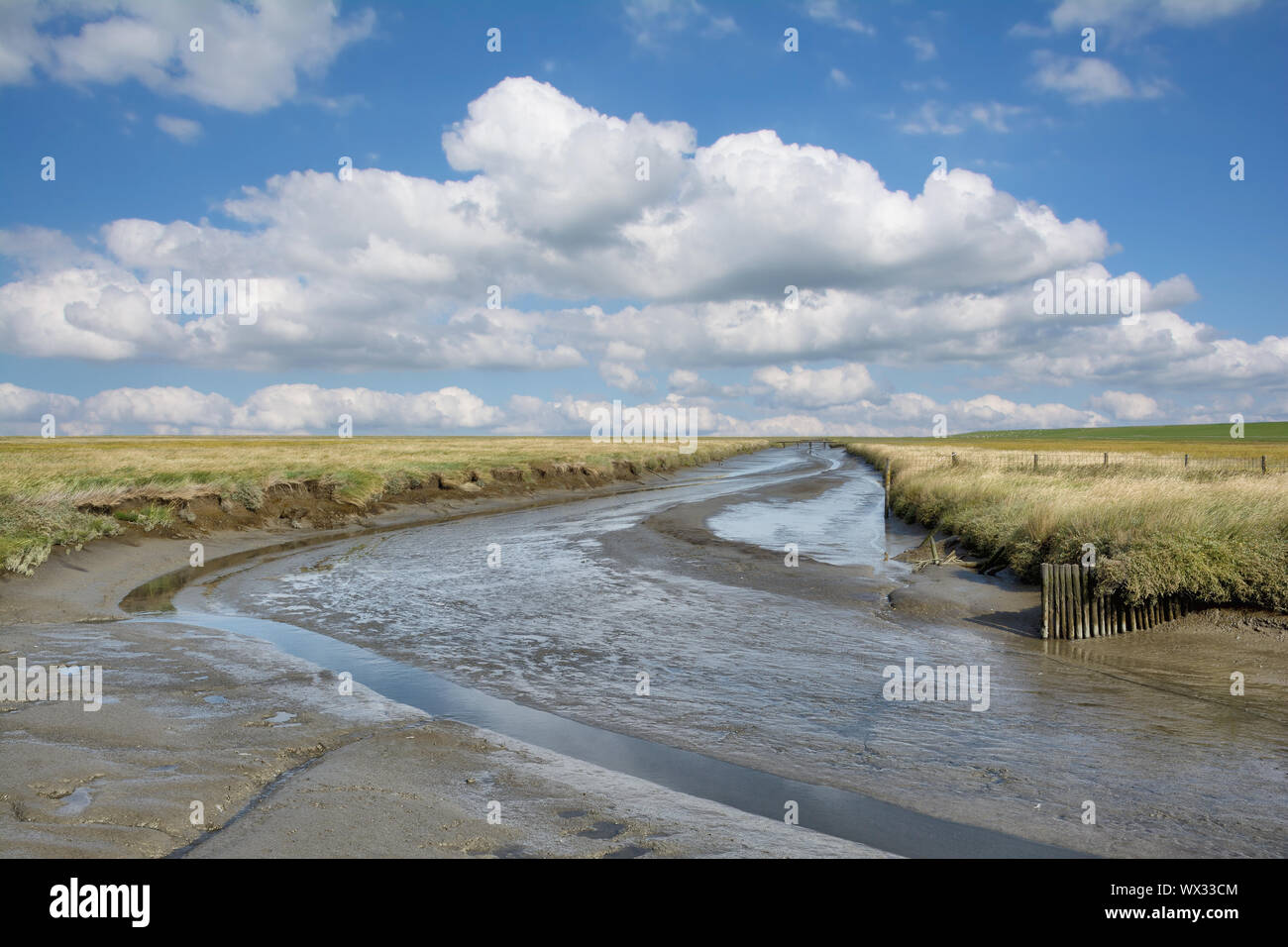 Salt Marsh in Westerhever at North sea,wadden Sea,North Frisia,Schleswig-Holstein,Germany Stock Photo