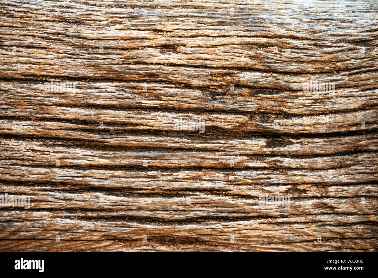 Old dark wood texture Stock Photo Alamy