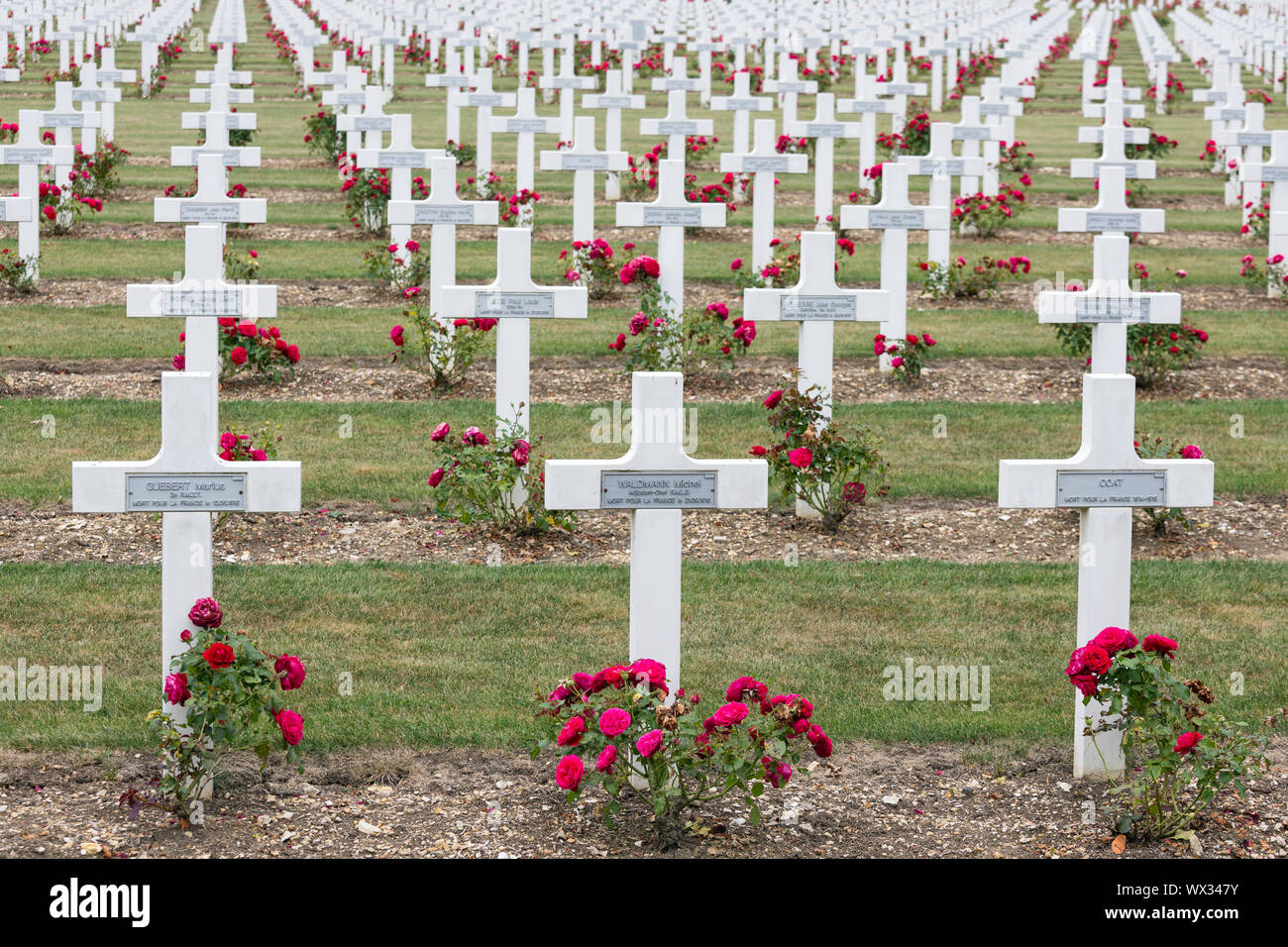 Cemetery First World War soldiers died at Battle of Verdun, France Stock Photo