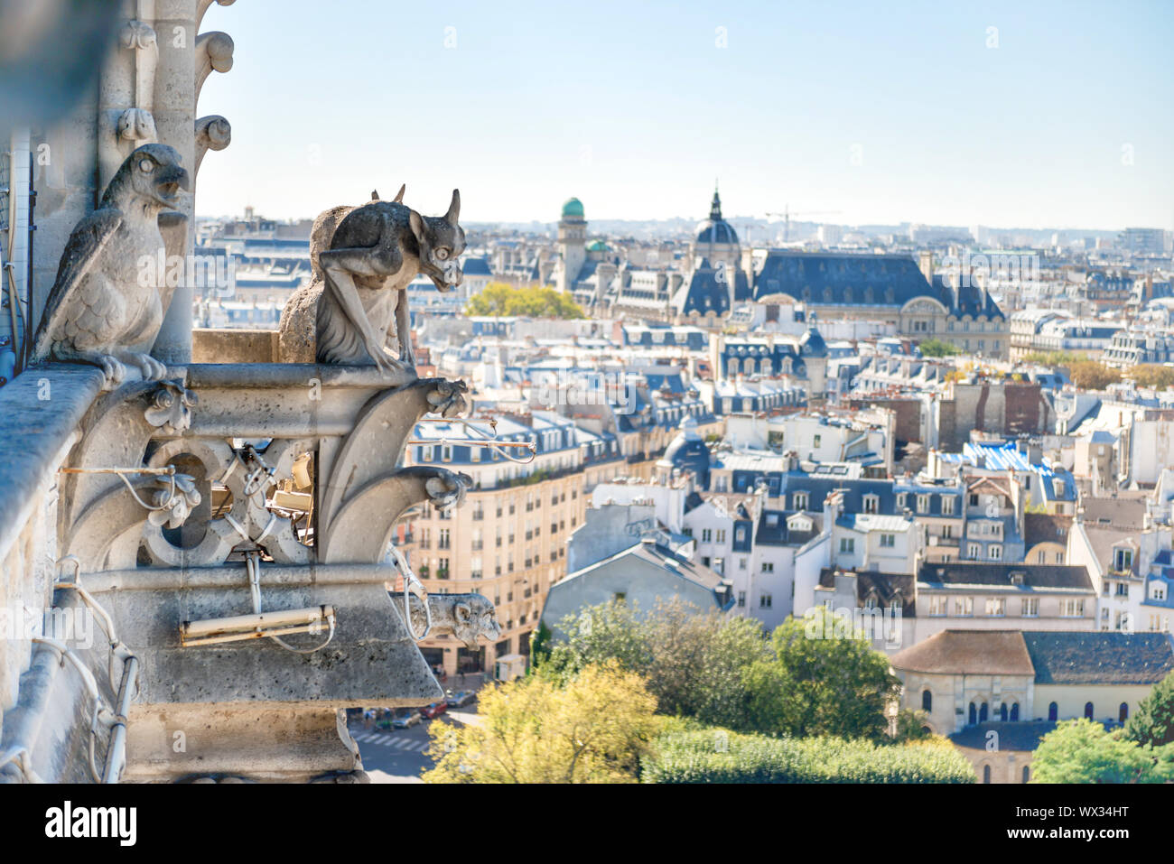 Gargoyle statue on Notre Dame de Paris Stock Photo Alamy