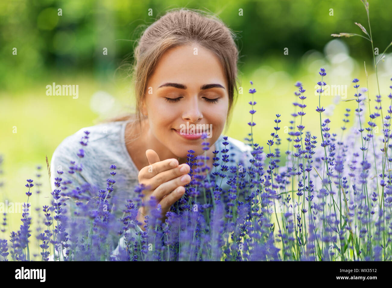 Smelling lavender garden hires stock photography and images Alamy