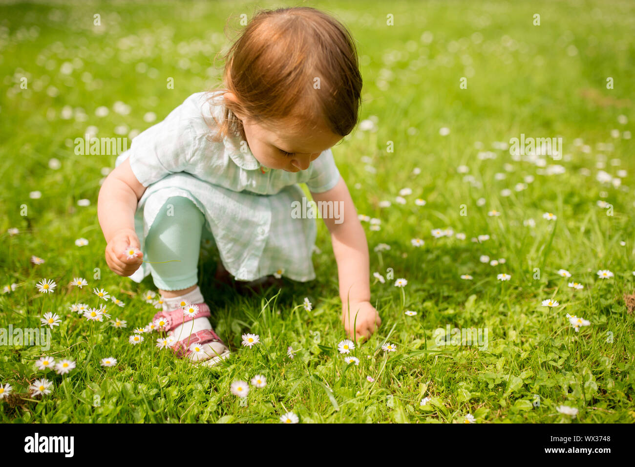 happy little girl at park in summer Stock Photo - Alamy