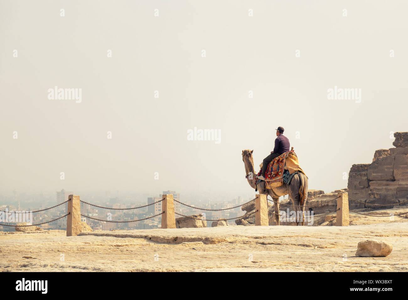 a young man sitting on a camel, looking from the Giza to Cairo Stock Photo