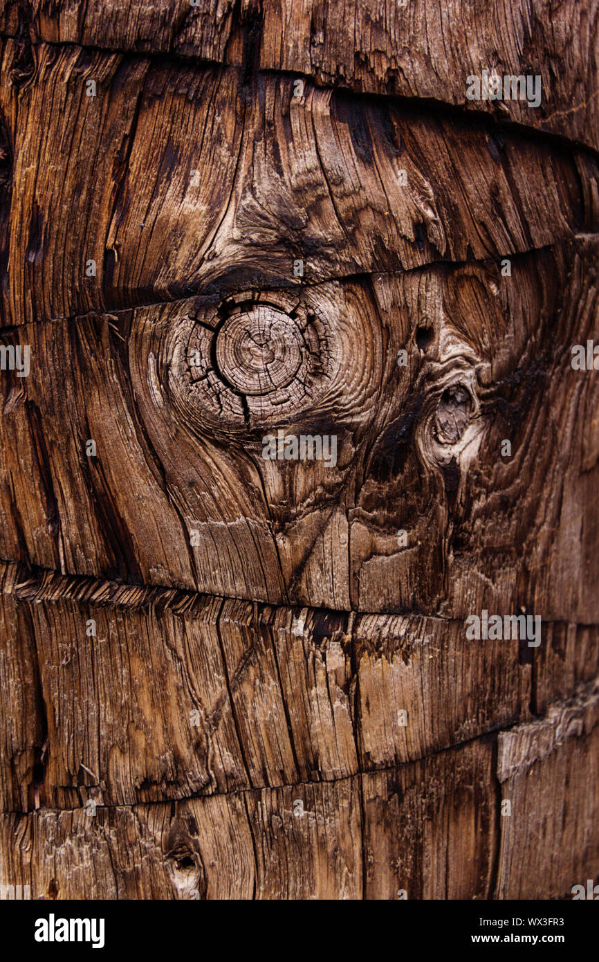 Wood, cut, wood texture drawing, natural, background Stock Photo Alamy