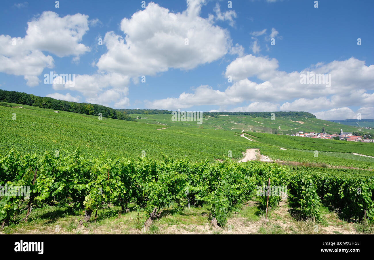 Oger Stock Photos Oger Stock Images Alamy