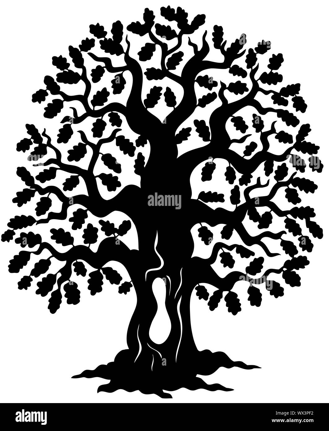 Oak Tree Silhouette Stock Vector Image Art Alamy
